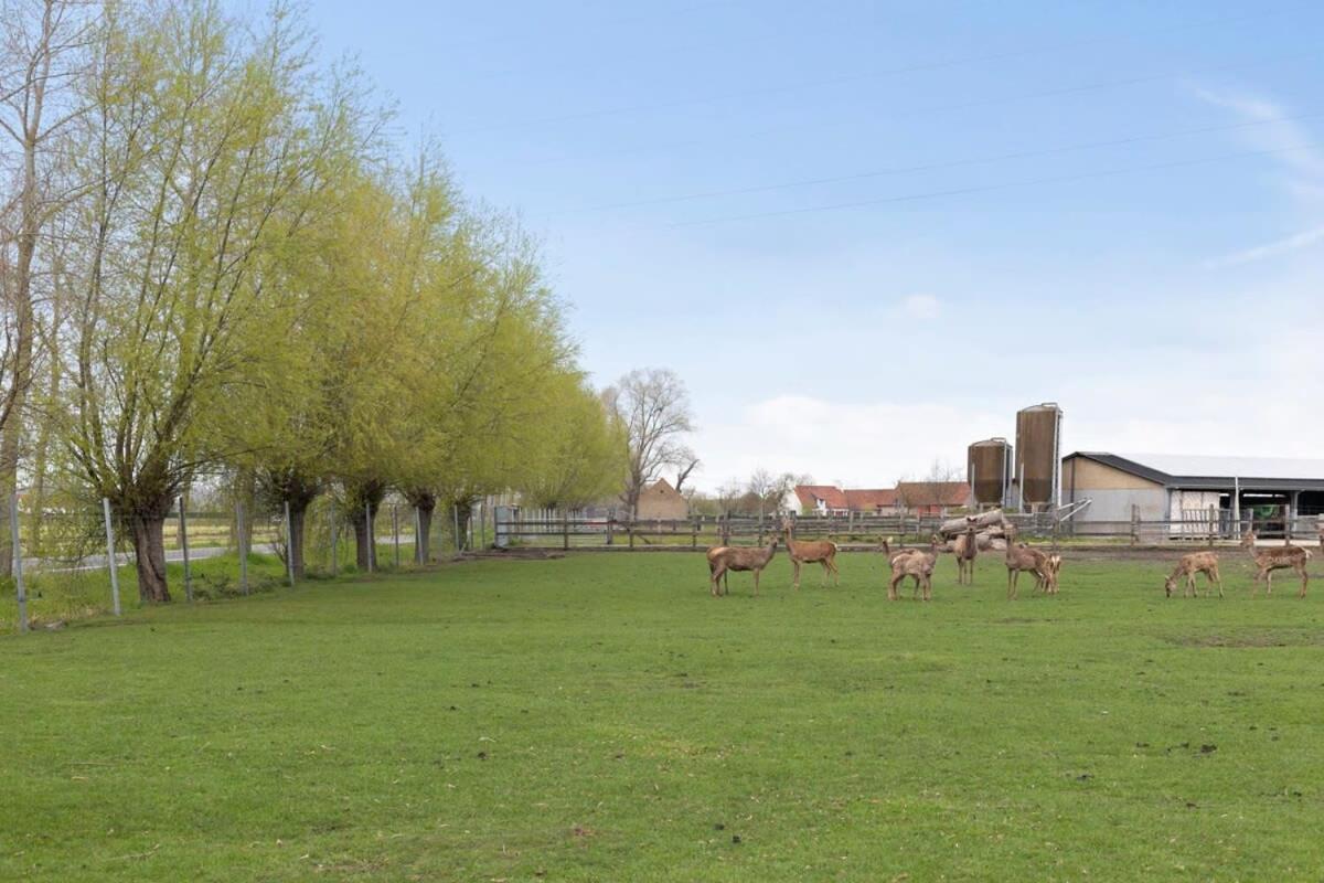 Vila Huswell - Family House With A Beautiful View In Damme Bruggy Exteriér fotografie